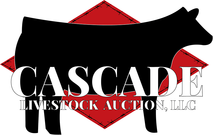 Welcome To Cascade Livestock Auction!